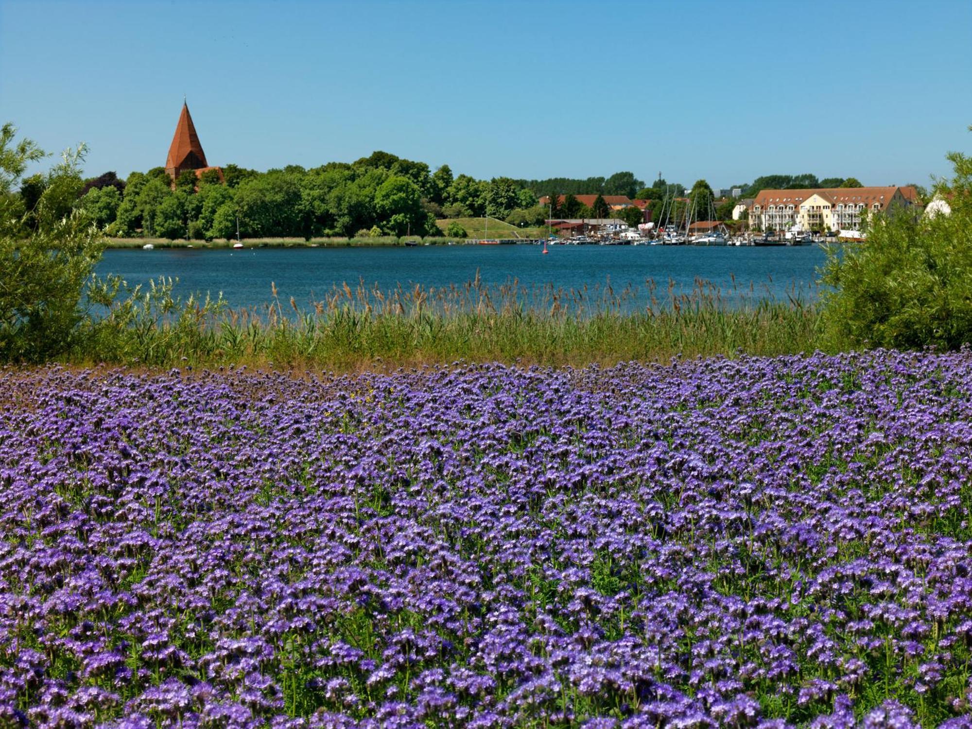 Inselbude Insel Poel Exterior foto